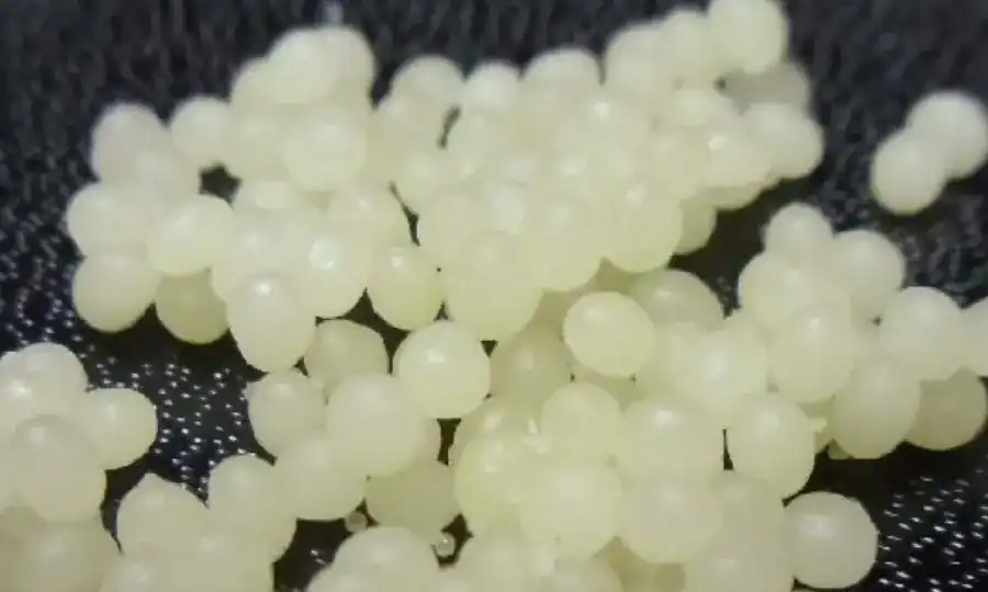 calcium alginate capsules