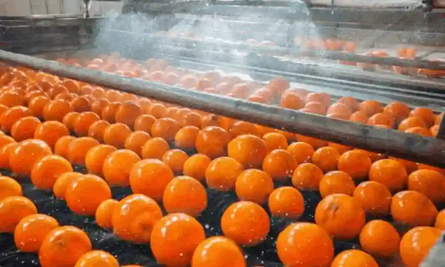 new calcium alginate coating for fruits and vegetables