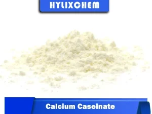 Hylix Chemicals Calcium Caseinate Powder for Muscle Recovery