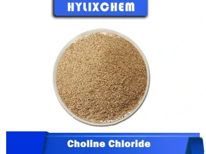 Hylix Chemicals Choline Chloride Powder for Animal Nutrition