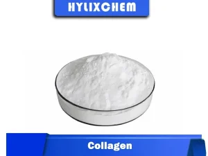 Hylix Chemicals Collagen Powder for Skin & Beauty