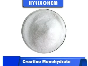 Hylix Chemicals Creatine Monohydrate Powder for Recovery