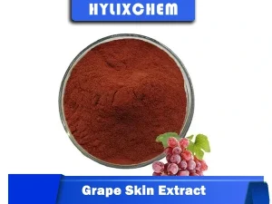 Grape Skin Extract Powder for Food by Hylix Chemicals