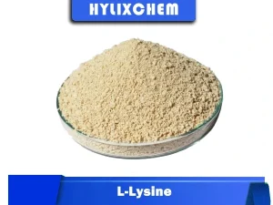 Hylix Chemicals L-Lysine Powder for Immune Support