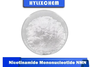 Hylix Chemicals NMN Powder for Energy Metabolism