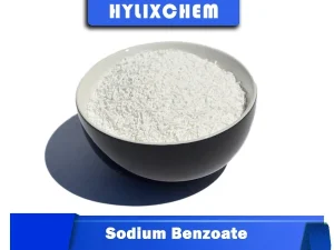 Sodium Benzoate Powder for Beverages by Hylix Chemicals