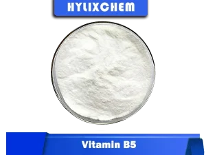 Vitamin B5 Powder by Hylix Chemicals - Energy Production Support