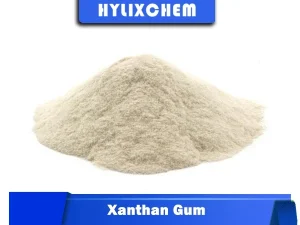 Hylix Chemicals Xanthan Gum Powder for Food Applications